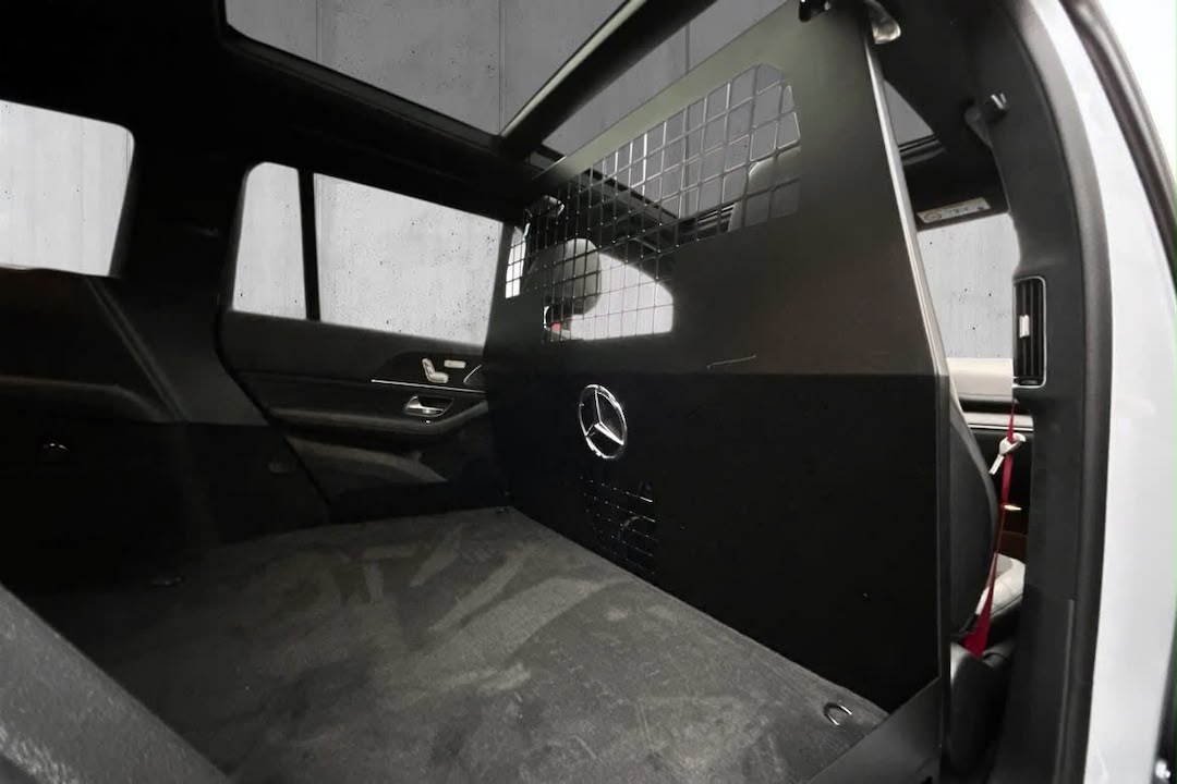 Mercedes-Benz Mercedes-Benz GLS63 AMG 4MATIC — photo 10